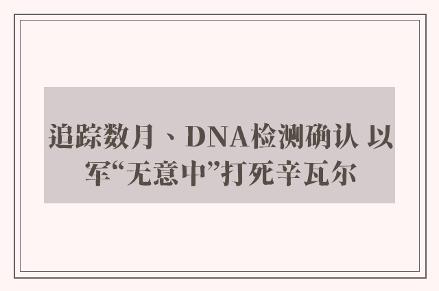 追踪数月、DNA检测确认 以军“无意中”打死辛瓦尔