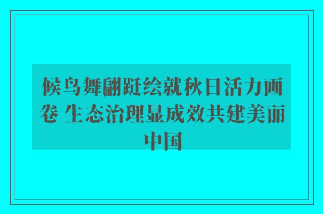 候鸟舞翩跹绘就秋日活力画卷 生态治理显成效共建美丽中国